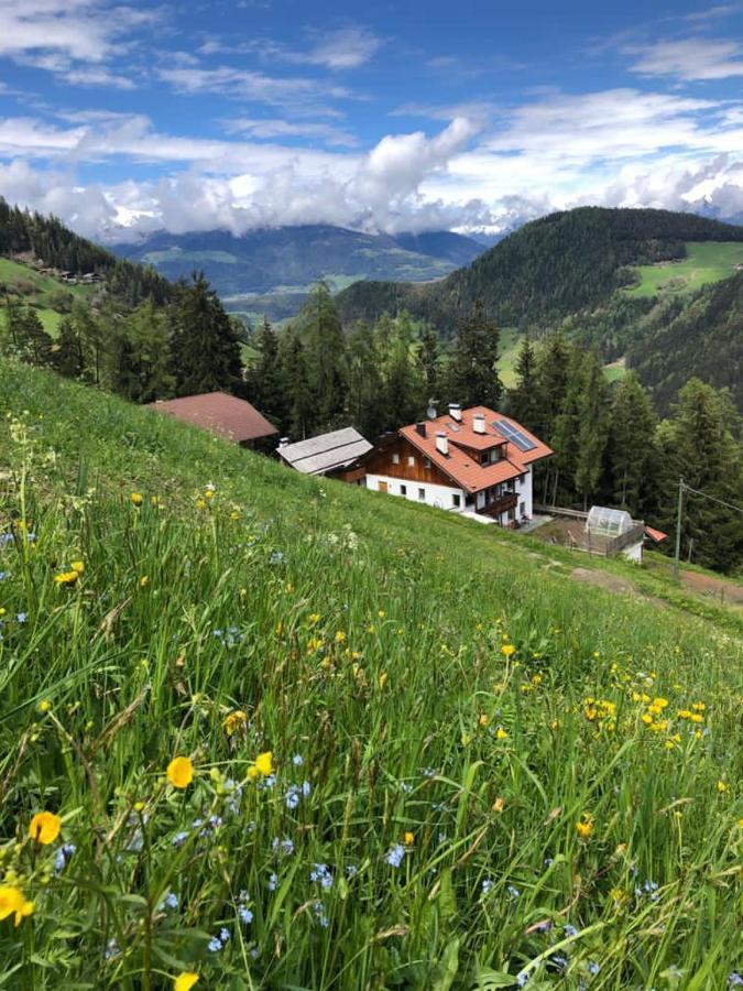 Ringgelinhof Onach Villa San Lorenzo di Sebato Eksteriør billede